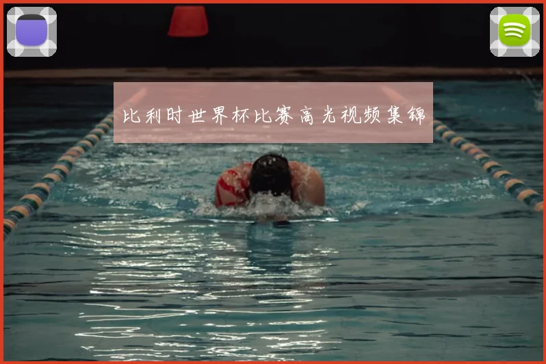比利时世界杯比赛高光视频集锦