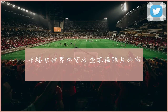 卡塔尔世界杯官方全家福照片公布